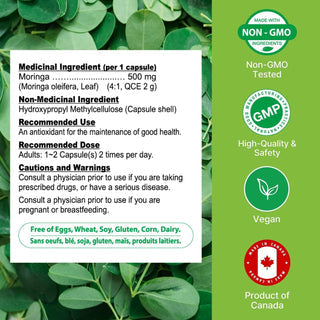Nutridom Moringa Oleifera Leaf Extract 4:1 (120 Veg Capsules)