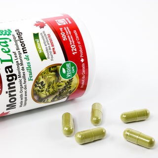 Nutridom Organic Moringa Oleifera Leaf 500mg (120 Veg Capsules)