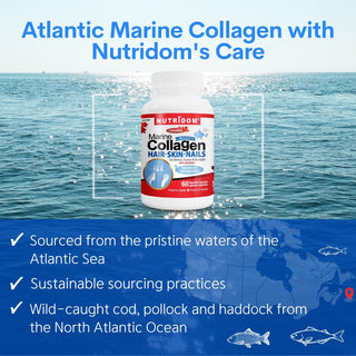 Nutridom Marine Collagen 600mg (60 Veggie Capsules), Featuring Hydrolyzed Fish Collagen, Hyaluronic acid, Vitamin C, Silicon & Biotin