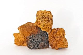 Nutridom Canadian Chaga Mushroom Chunks (225 Grams)