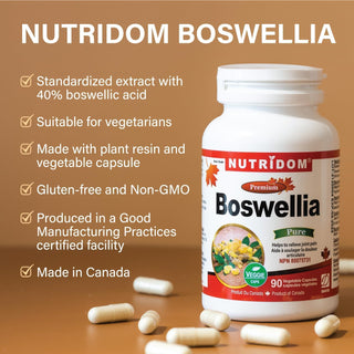 Nutridom Boswellia Serrata 333mg, 40% Boswellic Acid (90 Veggie Capsules)