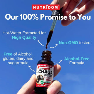 Nutridom Canadian Chaga Mushroom Liquid Drops (30 ml)