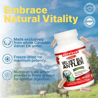 Nutridom Canadian Velvet Elk Antler 500mg, Freeze-Dried (30 Veggie Capsules)