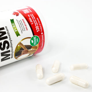 Nutridom MSM 1,000mg (120 Veggie Capsules)