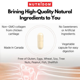 Nutridom Chicken Cartilage Collagen 500mg, Type II, Hydrolyzed (180 Veggie Capsules)